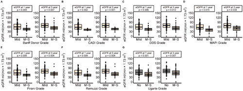 Figure 3. eGFR Boxplot of recipients in different grades of different scoring systems in specimens with a glomerular number ≥ 10. (A) Banff donor scoring system; (B) CADI scoring system; (C) DDS scoring system; (D) MAPI scoring system; (E) Pirani scoring system; (F) Remuzzi scoring system; (G) Ugarte scoring system.