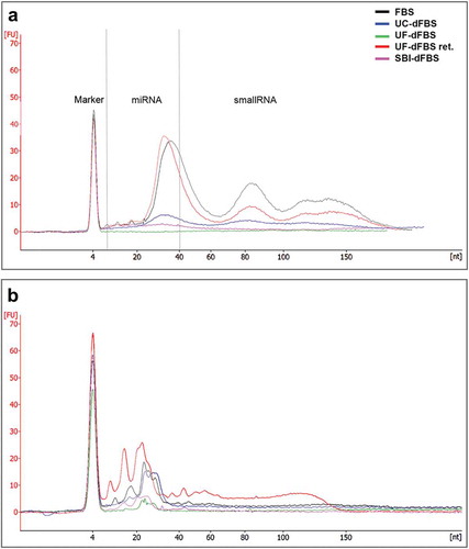 Figure 4. Bioanalyzer profiles of small RNA (miRNA and small RNA, 6–150 nt) from different EV-depleted FBS. (a) RNA was extracted from the EVs isolated from the FBS, dFBS and UF-dFBS retentate. (b) RNA was extracted from the total FBS and dFBS (without prior EV isolation) or from UF-dFBS retentate. As compared with the other dFBS, the UF-dFBS showed no EV-RNA signal, whereas some RNA was detected from the total UF-dFBS, indicating its non-vesicular origin. All other samples contained EV- and total FBS-RNA. FBS (fetal bovine serum), UC (ultracentrifugation), UF (ultrafiltration), SBI (System Biosciences), dFBS (EV-depleted FBS).