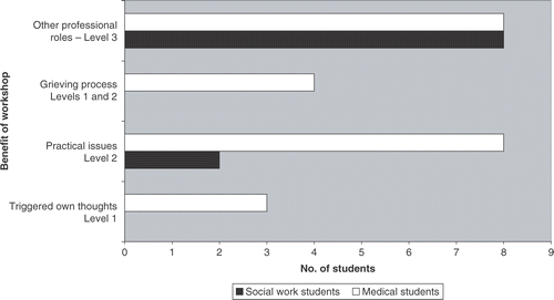 Figure 4. What students learned most from the workshop (1 social work student gave no answer, 8 medics gave >1 answer).