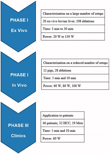 Figure 1. Flowchart summarising the steps of the study.