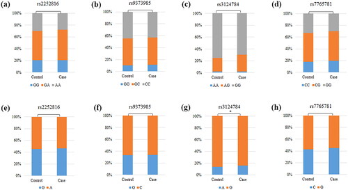 Figure 1. Comparisons of the genotype frequency and allele frequency of SNPs of FHL5/LPA genes in DM case and healthy control. (a) Comparisons of the genotype frequency of rs2252816 of FHL5 gene between the two groups. (b) Comparisons of the genotype frequency of rs9373985 of FHL5 gene between the two groups. (c) Comparisons of the genotype frequency of rs3124784 of LPA gene between the two groups. (d) Comparisons of the genotype frequency of rs7765781 of LPA gene between the two groups. (e) Comparisons of the allele frequency of rs2252816 of FHL5 gene between the two groups. (f) Comparisons of the allele frequency of rs9373985 of FHL5 gene between the two groups. (g) Comparisons of the allele frequency of rs3124784 of LPA gene between the two groups. (h) Comparisons of the allele frequency of rs7765781 of LPA gene between the two groups. ‘*’ indicate statistical significance at the 0.05 level.