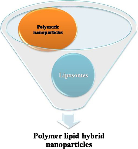 Figure 2. Development of lipid polymer hybrid NPs.
