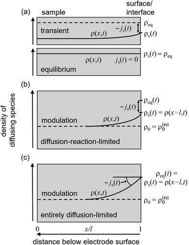 Figure 1. Schematic display of the solute density, ρ(x,t), inside the sample during hydrogen charging (a) and subsequent modulation (b). (a) Applying a constant electrode potential U=U0 for a sufficient time interval leads to a homogeneous hydrogen concentration ρeq inside the sample. Before equilibrium is reached, the difference ρeq−ρs results in a current density js(t), Equation (Equation10(10) js=jexρeq(ρeq−ρs).(10) ), of solutes through the surface, where ρs is the time-dependent density underneath the surface. (b) After reaching equilibrium, the electrode potential U(t), Equation (Equation2(2) U(t)=U0+Uˆsin⁡(ωt),(2) ), is modulated with respect to U0 giving rise to an oscillating variation of the solute density imposed by the surface, ρeq(t)=ρ0+ρˆsin⁡(ωt), Equation (Equation11(11) ρeq(t)=ρ0+ρˆsin⁡ωt=ρ0(1−zFRTUˆsin⁡ωt),(11) ). As a result of the modulation, a time-dependent density profile, ρ(x,t), inside the sample evolves, which is determined by the reaction- and diffusion-limitation of the process, Section 2.3. The difference between ρeq(t) and ρs(t)=ρ(x=l,t) leads again to a current density js(t) of particles through the surface (Equation (Equation12(12) js(t)=jexρ0(ρeq(t)−ρ(l,t)),(12) ) and boundary condition according to Equation (Equation14(14) D∂ρ(x,t)∂x|x=l=κ(ρeq(t)−ρ(l,t)),(14) )). (c) In comparison to (b) the situation for the entirely diffusion-limited case (boundary condition according to Equation (Equation16(16) ρ(x=l,t)=ρ0+ρˆsin⁡(ωt)(16) )). Note that figure parts b and c pertain to the special case of the diffusion–reaction model with the initial condition, Equation (Equation18(18) ρ(t=0)=ρ0ini.(18) ), ρ(t=0)=ρ0ini=ρ0.