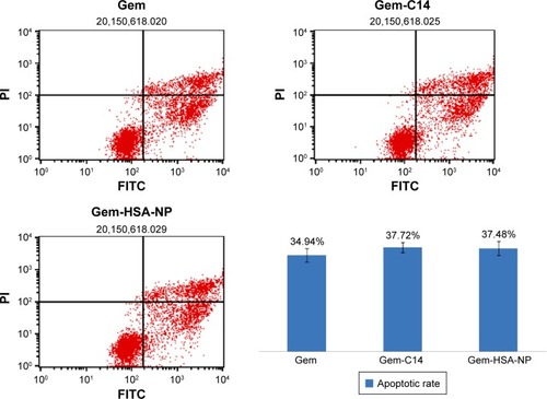 Figure 4 Annexin V-FITC/PI graphs of flow cytometry for Gem, Gem-C14, and Gem-HSA-NP.Notes: The apoptotic rates of the three drugs were 34.94%±2.5%, 37.72%±1.8%, and 37.48%±2.6%, respectively. Numbers in the quadrants are percentage of cells in early apoptosis (UR), late apoptosis or necrosis (LR), and cell debris (UL).Abbreviations: FITC, fluorescein isothiocyanate; Gem, gemcitabine; Gem-HSA-NP, gemcitabine-loaded human serum albumin nanoparticle; UR, upper right; LR, lower right; UL, upper left; PI, propidium iodide.