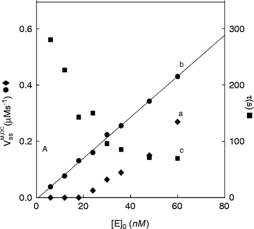 Figure 2 Representation of the values of rate of tyrosinase acting on L-tyrosine (), and of the lag period with respect to enzyme concentration. [M]0 = 0.25 mM. • Values of obtained in the true steady-state. ♦ Rate values obtained considering the increase in absorbance at a fixed time from beginning of reaction. ▪ Values of lag period.
