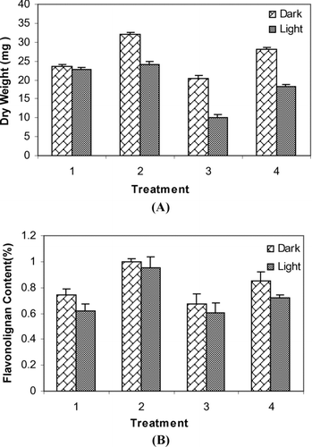 Figure 5.  Effect of different treatments on biomass accumulation (A) and flavonolignan content (%) (B) in cell suspension culture of S. marianum on day 28 under light and dark conditions. Treatments refer to: 1: Pic (3 mg l−1); 2: Pic (3 mg l−1) and JA (2 mg l−1); 3: Pic (2 mg l−1); 4; Pic (2 mg l−1) and JA (2 mg l−1). Data are the averages of three experiments in triplicate (means ± .S.E.).