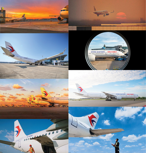 Figure 13. A group photographs of airplanes.