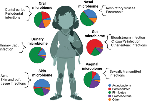 Figure 3. The impact of the microbiome on infections during childhood and adolescence. Substantial variability exists in the composition of the microbial communities that colonize children and adolescents at different anatomical sites. The pie charts in this figure depict the relative proportion of sequencing reads assigned to specific bacterial phyla at six body sites. Variability in microbiome composition across individuals at a specific anatomical site contributes to observed differences in infection susceptibility and severity across children.