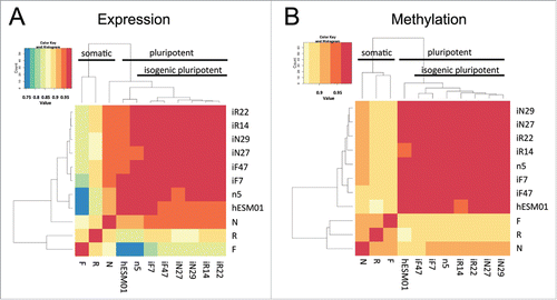 Figure 4. Genome-wide analysis of gene transcription and DNA methylation in the isogenic pluripotent and somatic cell lines. (A, B) Heatmaps based on Spearman correlations between all cell lines; the color scale ranges from 0.75 to 1. (A) Transcriptome and (B) methylome data (P < 0.01, FDR < 0.05).