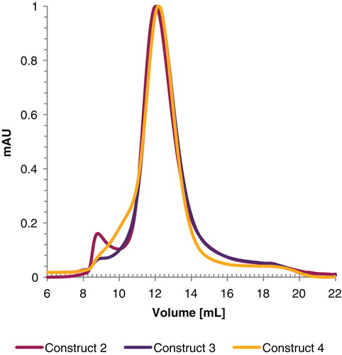 Figure 3. Gel filtration profile of GlyR expressed using construct 2, 3 and 4 using a superdex 200 10/300 GL gelfiltration column. For better visualization, the curves were normalized prior plotting. This Figure is reproduced in color in Molecular Membrane Biology online.