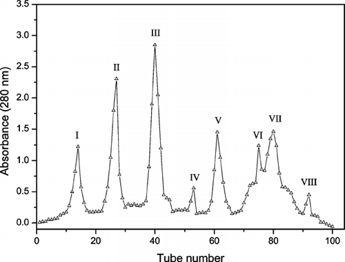 Figure 1 Chromatographic profile of elution of ethanol extract from leaves of C. sylvestris. using Sephadex LH-20 column. The peak III showed antimicrobial activity against Escherichia coli. and Candida albicans..