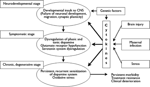Figure 5.  The potential role of cytokines in the pathophysiology of schizophrenia (pers. comm. YK Kim).