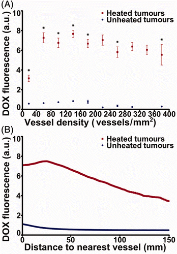 Figure 7. Spatial distribution of doxorubicin fluorescence with respect to vessel density and vessel location in heated and unheated tumours of rabbits administered thermosensitive liposomal doxorubicin. (A) Background-subtracted fluorescence intensity of doxorubicin in 500 µm × 500 µm regions of 6 µm frozen sections from two rabbits, classified by the vessel density in those regions. Mean ± SEM is representative of intra-tumour variability based on the aggregate of 675 regions across tumours from two rabbits. *p < 0.05, two-sided Wilcoxon rank-sum test. (B) Background-subtracted doxorubicin fluorescence intensity (mean ± SEM of aggregated data from two rabbit tumours) averaged by distance to the nearest CD31-stained pixel across all imaged sections of heated and unheated VX2 tumours from two rabbits administered thermosensitive liposomal doxorubicin. Note: a.u., arbitrary units.