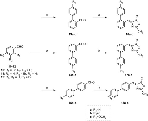 Scheme 3. Reagents and conditions: (a) appropriately substituted phenylboronic acid, Pd(OAc)2, PPh3, aq. 2 M Na2CO3, toluene, EtOH, 100 °C, 24 h and (b) N-acetylglycine, Ac2O, CH3COONa, reflux, 5 h.