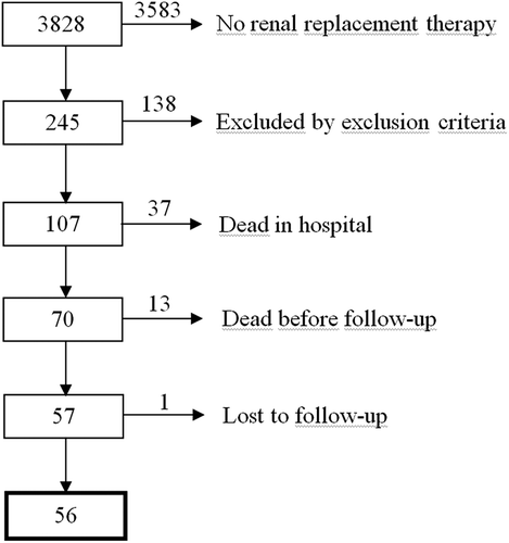 Figure 1. Flowchart of patient exclusion.