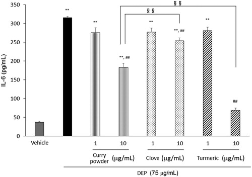 Figure 1. Effects of curry powder, clove, and turmeric extracts on DEP-induced IL-6 release in human airway epithelial cells. Cells were exposed to the indicated concentrations of DEP and each extract for 24 h. IL-6 release was measured by ELISA. Data are represented as mean ± SE of three individual cultures. **p < 0.01, versus vehicle; ##p < 0.01, versus DEP; §§ p < 0.01, vs each other.