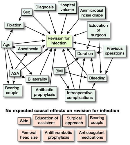 Figure 1. A directed acyclic graph (DAG) was constructed under the following assumptions:1. THA “revision for infection” is dependent on “patient age,” “sex,” ‘bilaterality,” “ASA class,” “BMI,” “diagnosis,” “hospital volume,” “education of surgery,” “bleeding,” “duration,” “intraoperative complications,” “previous operations,” “antimicrobial incise drape,” “anesthesia,” “antibiotic prophylaxis,” and type of THA “fixation.” Choice of “side,” “education of assistant,” “surgical approach,” “bearing couple,” antithrombotic prophylaxis,” “anticoagulant medications,” and “femoral head size” are not expected to affect “revision for infection” due to clinical suspicion.2. “Fixation” is dependent on “age” and “sex” because older and female patients have probably received a cemented or hybrid THA due to their poorer bone quality. “Bearing couple” may be dependent on age because surgeons have probably chosen ceramic-on-ceramic bearing couple in younger patients. “Bearing couple” may also be dependent on ASA class for the same reason. ASA class is partly dependent on age by definition. “Bilaterality” is dependent on “age” and “ASA class” because both hips are seldom operated on in elderly or high ASA class patients.3. “BMI” may be affected by “duration” and “intraoperative complications” due to more difficult operation with high BMI. “Duration” may be dependent on “education of surgery” due to experience factor. “Bleeding,” “duration,” and “previous operations” may be dependent on clinical basis.4.“Anesthesia” is dependent on “ASA class” and “age” because general anesthesia is usually avoided in elderly patients.