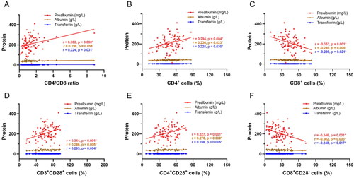 Figure 1. Correlation analysis between PEM and T-cell subsets. A–F) Correlation between PEM parameters (prealbumin, transferrin, and albumin) and CD4/CD8 ratio, proportions of CD4+ cells, CD8+ cells, CD3+CD28+ cells, CD4+CD28+ cells, and CD8+CD28− cells. Red indicates prealbumin, blue indicates transferrin, and brown indicates albumin. PEM: protein energy malnutrition.