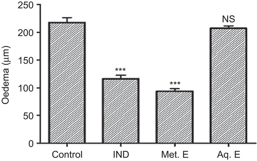 Figure 1.  Effect of M. parviflora leaf extracts on ear edema induced by croton oil. Mice were treated with 0.5 mg/ear of indomethacin (IND), 2 mg/ear of methanol extract (Met. E), and 2 mg/ear of aqueous extract (Aq. E). Control group received croton oil solution only. Edema is expressed as mean thickness increase of ears before and 6 h after croton oil application. Values are expressed as means ± SEM (n = 7). ***P < 0.001. NS: not significant versus the control.