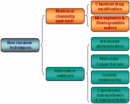 Figure 5. A schematic representation of current strategies to deliver drugs to the brain by non-invasive techniques. Non-invasive techniques include drug modification by medicinal chemistry approaches and drug encapsulation through nanotechnological carriers.