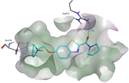 Figure 4. Binding mode of compound 3b within the homology model of H3R. 3b was docked into the active site using MOE. In the binding model, compound 3b formed three hydrogen bond interactions with Glu176, a salt bridge with Glu176 and one hydrogen bond with Arg351. Dashed lines indicated the interactions and distances between the heavy atoms are given in Å.