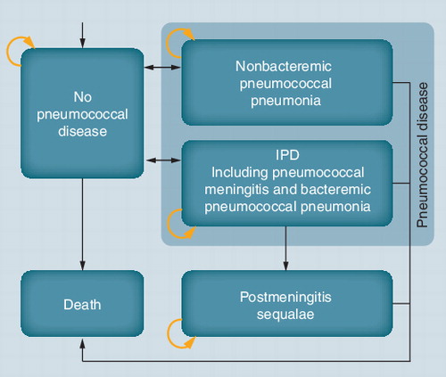 Figure 2. Model structure: disease progression simulation.IPD: Invasive pneumococcal disease.