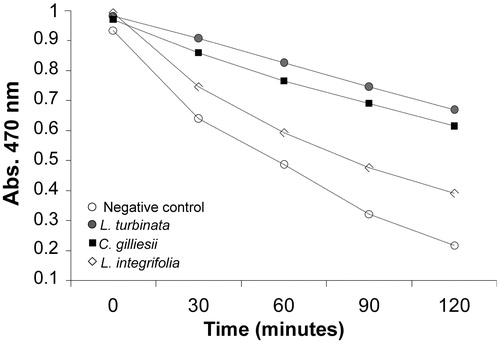 Figure 2. β-Carotene bleaching assay of L. turbinata, C. gilliesii, and L. integrifolia essential oils. The β-carotene oxidation induced by heat was monitored for 120 min. The maximum concentrations used were 1.13 mg mL−1 for L. turbinata, 1.79 mg mL−1 for C. gilliesii, and 1.38 mg mL−1 for L. Integrifolia.