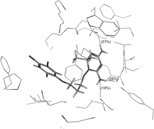 Figure 2.  3D view from a molecular modelling study, of the minimum-energy structure of the complex of WR99210 docked in DHFRE (PDB ID: 1J3I). Viewed using Molecular Operating Environment (MOE) module.