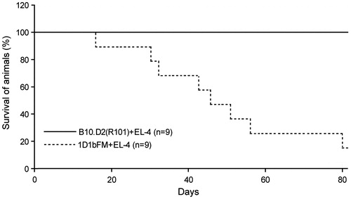 Figure 4. Survival rates of wild-type B10.D2(R101) and 1D1bFM transgenic mice on genetic background B10.D2(R101) after immunization by thymoma EL4 cells. Nine control and nine transgenic mice were immunized with EL4 thymoma cells (2 × 107 cells) and then examined every day up to 80 days thereafter. Similar data were obtained in three independent experiments.