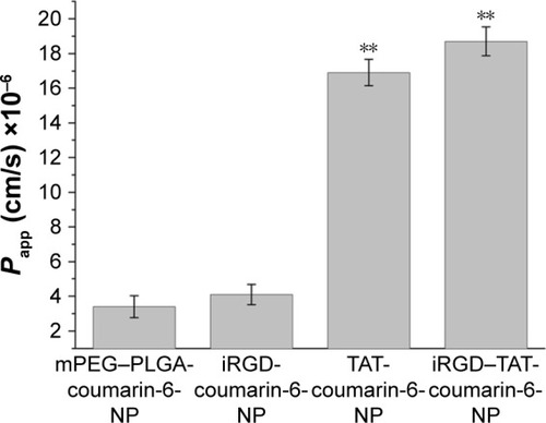 Figure 7 Permeability coefficients of mPEG–PLGA-coumarin-6-NP, iRGD-coumarin-6-NP, TAT-coumarin-6-NP, and iRGD–TAT-coumarin-6-NP.Notes: Each data point represents the mean ± SD (n=3) of four determinations. **Significant differences from the control with P<0.01. mPEG–PLGA-coumarin-6-NP, mPEG–PLGA NPs labeled with coumarin-6; iRGD-coumarin-6-NP, iRGD-modified NPs labeled with coumarin-6; TAT-coumarin-6-NP, TAT-modified NPs labeled with coumarin-6; iRGD–TAT-coumarin-6-NP, iRGD and TAT dual-modified NPs labeled with coumarin-6.Abbreviations: iRGD, internalizing arginine-glycine-aspartic acid; mPEG, methoxy-poly(ethylene glycol); NPs, nanoparticles; Papp, apparent permeability; PLGA, poly(lactic- co-glycolic acid); SD, standard deviation; TAT, transactivated transcription.