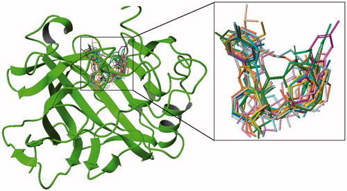 Figure 4. Superimposition of selected ligands from docking simulations in the active site.