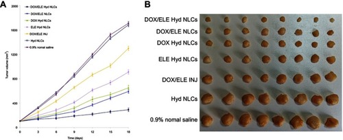 Figure 8 In vivo anticancer activity presented as tumor growth curves (A) and tumor images (B) of each group. Data is presented as means ± SD, n=8.