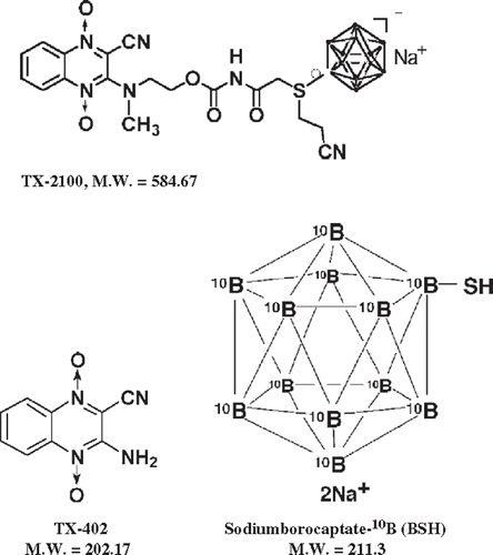 Figure 1. Chemical structures of the newly synthesized hypoxic cytotoxin-sodium borocaptate-10B conjugate (TX-2100), TX-402 (3-amino-2-quinoxalinecarbonitrile 1,4-dioxide) and sodium borocaptate-10B (BSH).