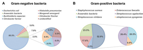 Figure 1 Pathogenic spectrum and distribution of BSIs during the study period. The distribution and percentages of (A) gram-negative and (B) gram-positive pathogens isolated from blood culture samples in this study.