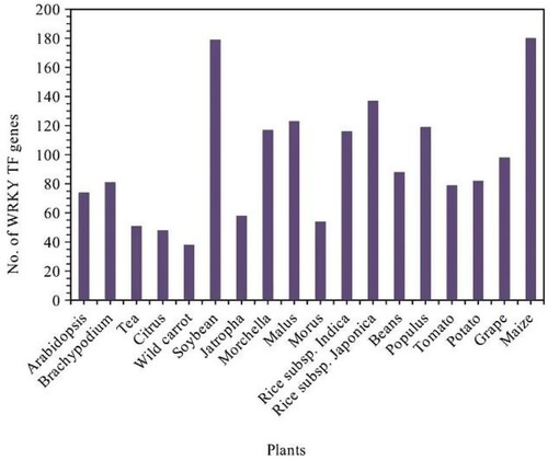 Figure 1. The number of WRKY transcription factors genes in plants (Khoso et al. Citation2022).