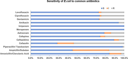 Figure 4 Sensitivity analysis of E. coli to common antibiotics.