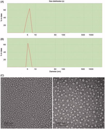Figure 6. Dynamic light scattering results of the POD-loaded GA micelles (A) and blank micelles (B); TEM images of the POD-loaded GA micelles preparation (×20 k and ×50 k) (C).