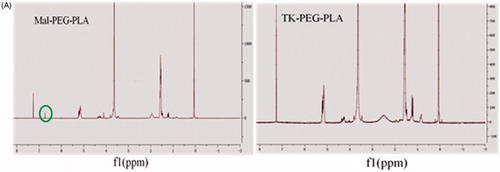 Figure 5. 1H NMR spectra of Mal-PEG-PLA and TK-PEG-PLA in CDCl3. The green circle highlights the characteristic peak of maleimide at 6.7 ppm in mal-PEG-PLA, which disappeared in the spectra of TK-PEG-PLA.