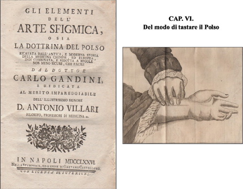 FIGURE 19 Gandini's Gli Elementi dell' Arte Sfigmica… G. Castello, Napoli (Gandini, Citation1776).