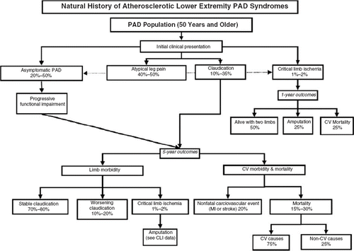 Figure 1. The natural progression of symptoms in patients with peripheral arterial disease (PAD). (CLI = critical limb ischemia; CV = cardiovascular; MI = myocardial infarction.) Rreproduced with permission from Hirsch et al., J Am Coll Cardiol. 2006;47:1239–12 (3).