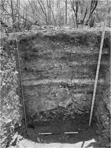 Figure 2 Stratigraphic layering documented in Excavation Unit T2-11. Photograph by Zachary J. M. Beier.