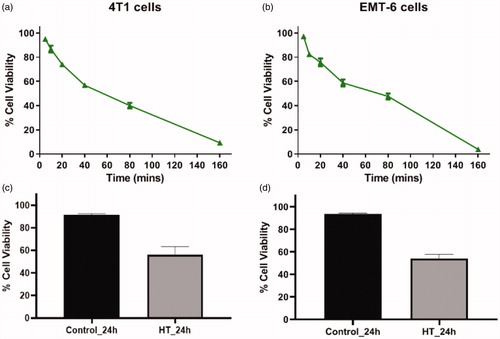 Figure 1. (a, b) Cell viability of 4T1 and EMT-6 cells after treatment at 43 °C determined using MTT assay. The cell viability of untreated cells was considered as 100%. (c, d) Cell viability of 4T1 and EMT-6 using Annexin V-FITC-PI-based FACS at CEM43 TD50 [Individual replicate data provided in Supplementary Figure S3].