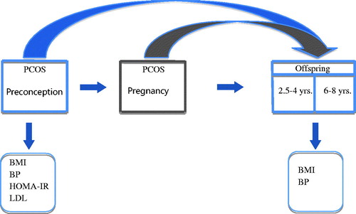 Figure 1. Schematic representation of the current analysis: Offspring health might be directly and indirectly associated with preconception and pregnancy characteristics in women with PCOS. Abbreviation: BMI: body mass index; BP: blood pressure; HOMA-IR: insulin resistance; in blue: the investigated associations in this paper; in gray: the potential role of pregnancy in mother-offspring associations; LDL: low-density lipoprotein-cholesterol; PCOS: polycystic ovary syndrome.
