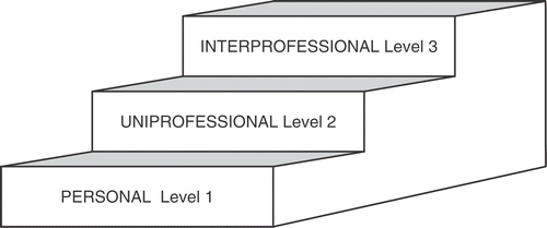 Figure 1. Levels to be achieved in interprofessional learning.