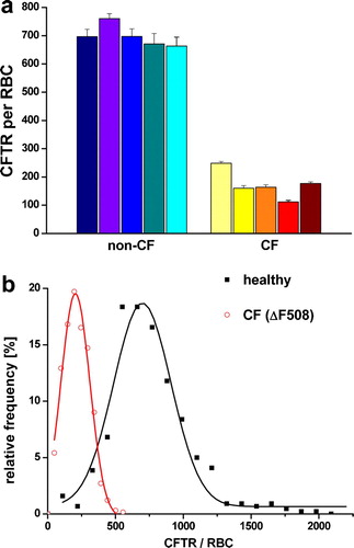 Figure 4.  (a) Single molecule counting of Qdot-labeled CFTR molecules. Each column represents one individual showing the mean (±SEM) of 100–120 RBC membrane patches. (b) Summarized histograms revealing Gaussian distribution for the non-CF population (black curve) with a peak value of 698 CFTR molecules per RBC (n=542) and for CF-patients (grey curve and red curve on-line) with a peak value of 204 CFTR molecules per RBC (n=538). Since the isolated membrane patches represent only approximately 40% of the RBC membrane, the results were extrapolated to the total RBC surface area of 130 µm2.