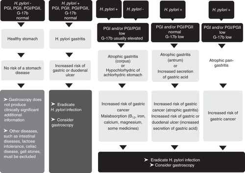 Figure 3. A guide and proposal for the application of a gastric biomarker panel in clinical practice and decision making. Abbreviations: G-17b = plasma level of fasting amidated gastrin-17; Atrophic pangastritis = AG that affects both antrum and corpus (multifocal, advanced, and extensive AG); PGI and PGII = plasma level of pepsinogen I and pepsinogen II, respectively.
