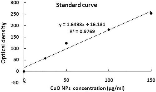 Figure 2. Standard curve for cellular uptake of copper oxide nanoparticles (CuO NPs) into the MCF-7 cells in concentrations of 25, 50 and 100 μg/mL.