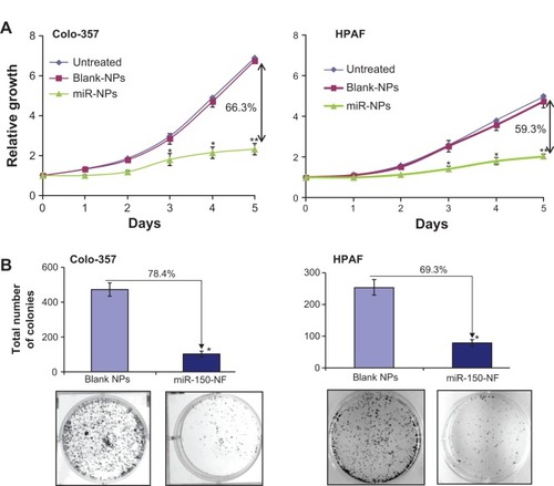 Figure 6 miR-150-NF decreases growth and clonogenicity of pancreatic cancer cells.Notes: (A) Colo-357 and HPAF cells (2×103 per well) were seeded in 96-well plates. After 24 hours (considered as day 0), cells were treated with either miR-150-NF or blank NPs (0.05 mg each) and growth was monitored by WST-1 assay every day for next 5 days. After analysis, data were presented as relative fold-growth induction compared with growth of cells at day 0. Growth inhibition of cells treated with miR-150-NF was compared to cells treated with blank NPs on day 5 and is shown as percentage. Bars represent mean ± SD (n=3); *P<0.05; **P<0.001. (B) Pancreatic cancer cells were treated with miR-150 mimics-loaded or blank NPs and, 48 hours later, cells were trypsinized and seeded in six-well plates (1×103 cells per well) for clonogenicity assay. After 2 weeks, colonies were stained with 0.1% crystal violet, photographed, and counted using imaging system. Data are presented as percent inhibition of clonogenic ability of miR-150-NF-treated cells as compared with their respective controls. Bars represent the mean of total number of colonies ± SD (n=3); *P<0.05.Abbreviations: miR, microRNA; NF, nanoformulation; NPs, nanoparticles; SD, standard deviation.