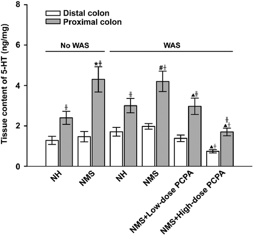 Figure 3.  Effects of WAS and PCPA on tissue content of 5-HT in the proximal and distal colon of normal handled (NH, n = 6) and NMS (n = 8) rats. Data presented as mean ± S.E.M. 5-HT concentration in the proximal colon were significantly higher than those in the distal colon in each group (‡P < 0.01, t-test). In the proximal colon, *P < 0.01 vs. NH group (n = 6), #P < 0.01 vs. NH+WAS group (n = 5, t-tests); ▴P < 0.01 vs. NMS+WAS group (n = 5), †P < 0.01 vs. NMS+low-dose PCPA+WAS group (n = 4, Bonferroni's correction). In the distal colon, ▴P < 0.01 vs. NMS+WAS group (n = 5), †P < 0.01 vs. NMS+low-dose PCPA+WAS group (n = 4, Bonferroni's correction).