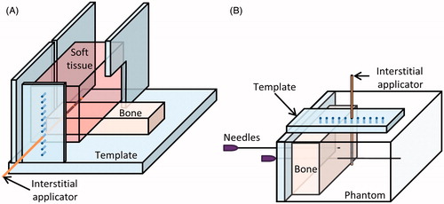 Figure 3. Set-up of ex vivo bench-top experiments. (A) In experiments with ex vivo muscle and bone, a cut of porcine muscle was placed on top of bovine bone and heated. (B) In phantom and ex vivo bone experiments, the temperature rise in a phantom with an encapsulated bone was measured by thermocouples within needles.